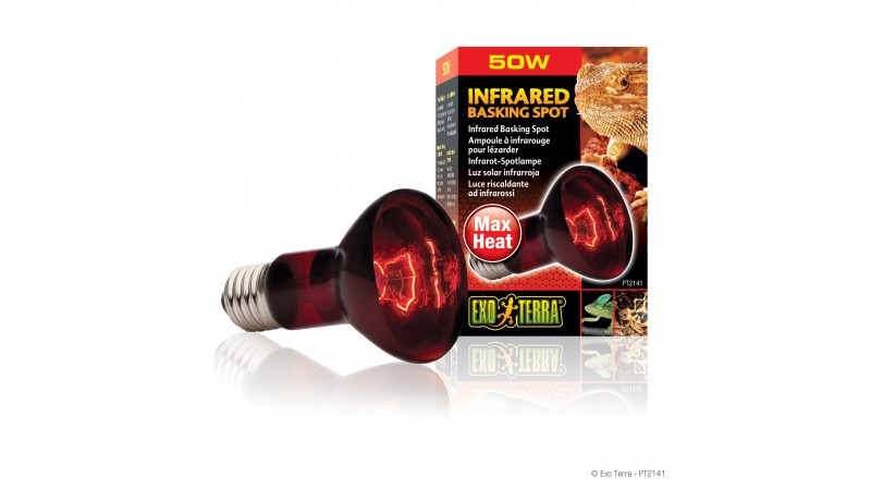 Heat Glo infrared Lamp