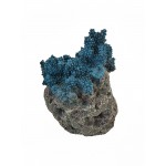 Artificial decoration Ferplast - Blue coral