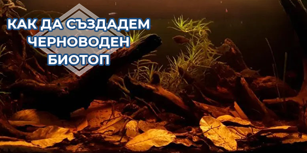 Как да създадем черноводен биотоп - част 2