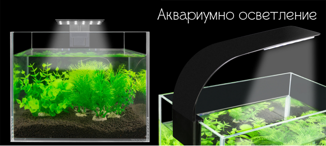 Аквариумно осветление