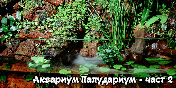 Аквариум Палудариум - част 2