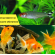 Интересни факти за аквариумните обитатели (втора част)