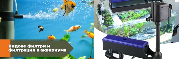Видове филтри и филтрация в аквариума