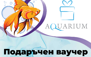 Подарък