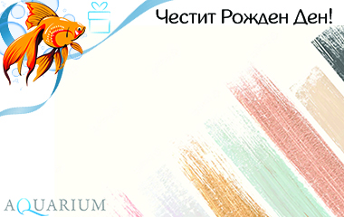 Рожден Ден