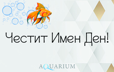 Имен ден