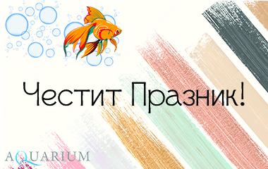 Празничен
