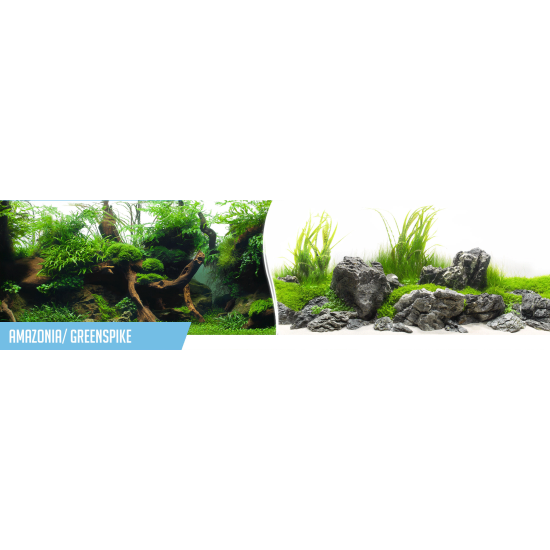 Double-sided aquarium background – Amazonia / Green vegetation - 1