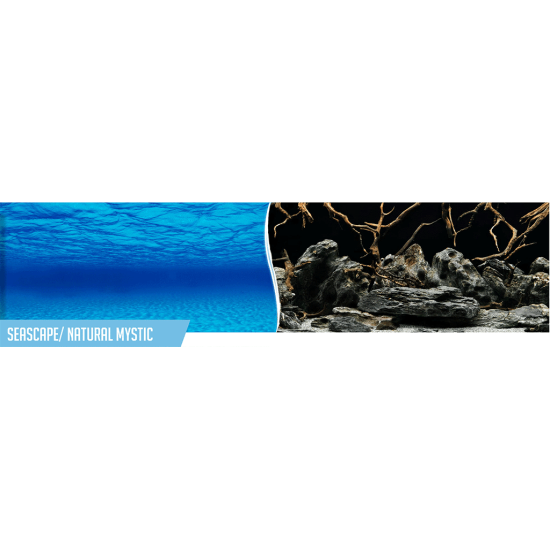 Double-sided aquarium background - Seascape / Natural mystical landscape - 1