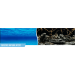 Double-sided aquarium background - Seascape / Natural mystical landscape