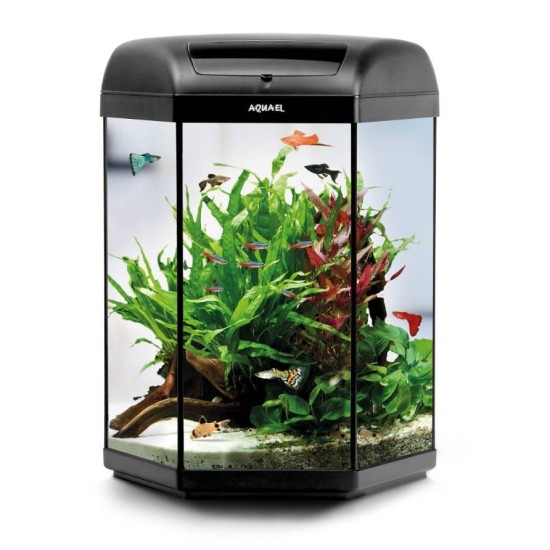 Aquarium AquaEL HEXA SET 60 LT  - 1