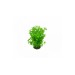 Plastic plant AquaEL CP-057 15cm