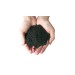 AquaEL ADVANCED SOIL PLANT - 2
