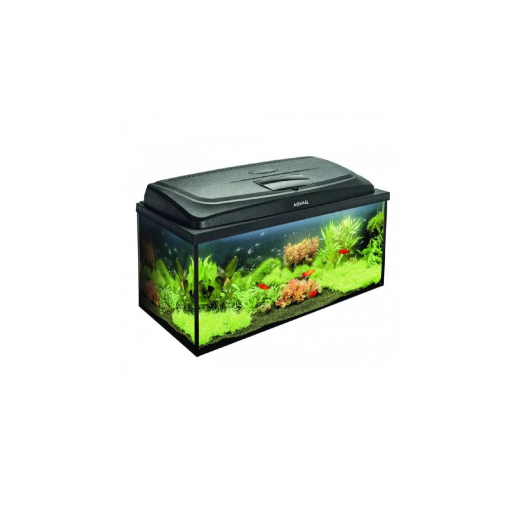 ᐉ Аквариум AquaEl SET Classic PROMO BOX 80 PAP | AquariumBG