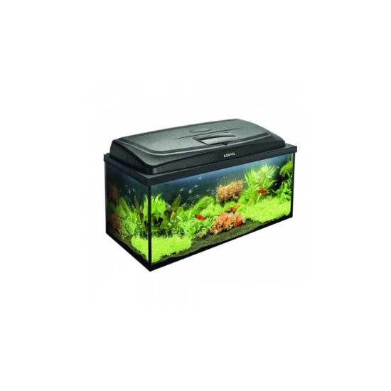 Aquarium AquaEl SET Classic PROMO BOX 80 PAP - 1