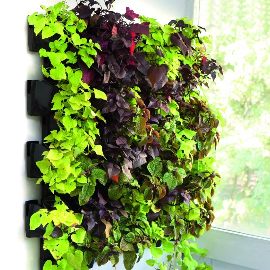 Aquael VERSA GARDEN STARTER KIT - 2