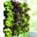 Aquael VERSA GARDEN STARTER KIT - 2