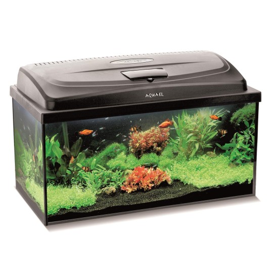 Aquarium Aquael Set Classic BOX 60 PROMO PAP - 1