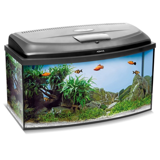 Aquarium Aquael Classic BOX 80 PROMO PAO - 1