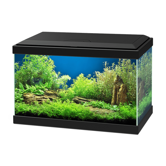 Aquarium Ciano Aqua 20 - black - 1