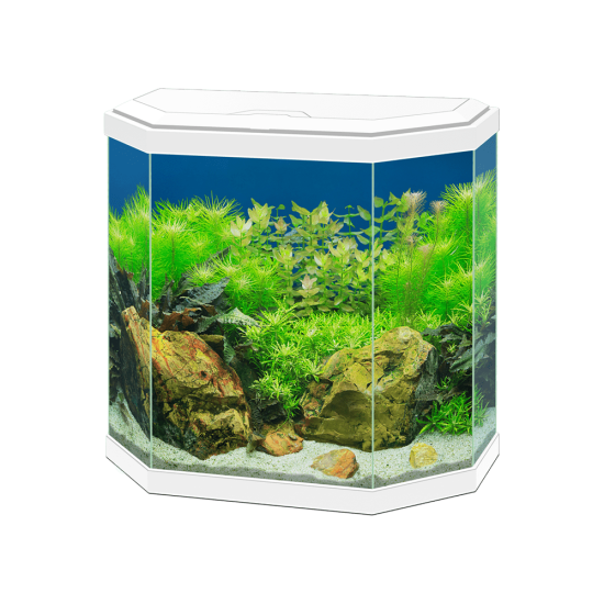 Aquarium Ciano Aqua 30 - white - 1