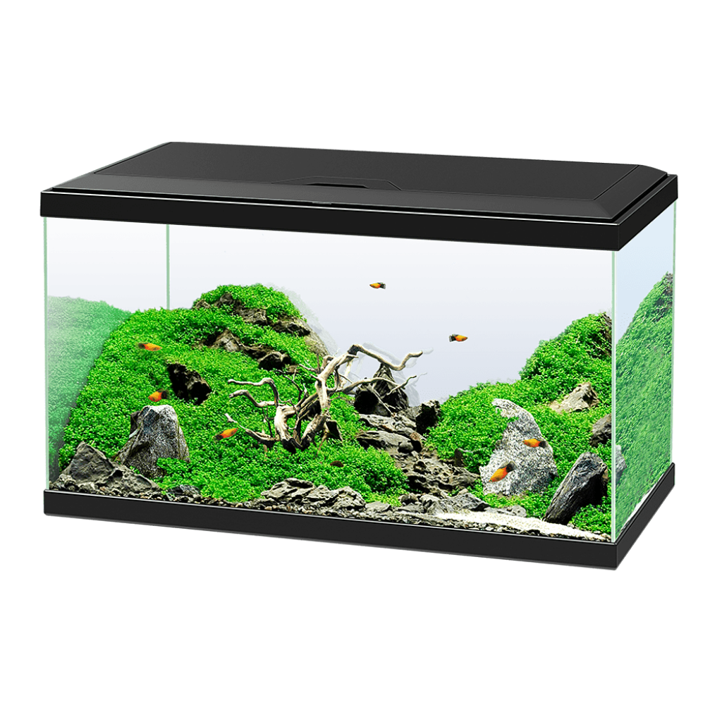 ᐉ Aквариум Ciano 60 - черен | AquariumBG