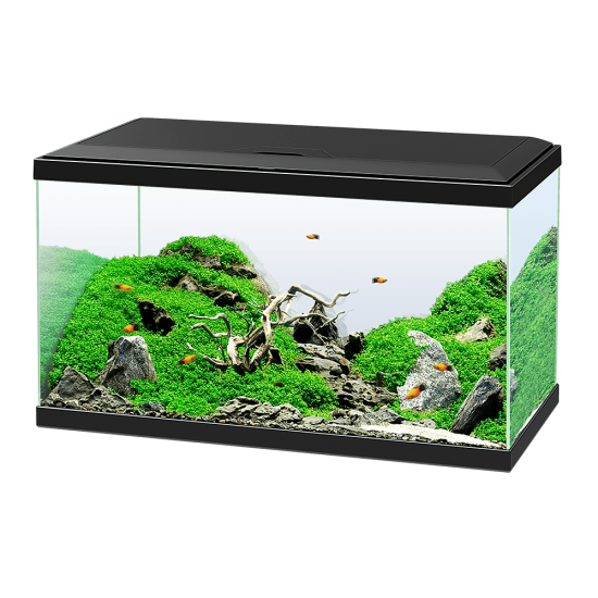 Aquarium Ciano 60 - black - 1
