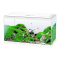 Aquarium Ciano 60 - white