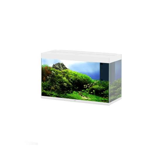 Aquarium Ciano Emotions PRO 100 - white - 1