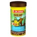 Dajana Pet Shrimp