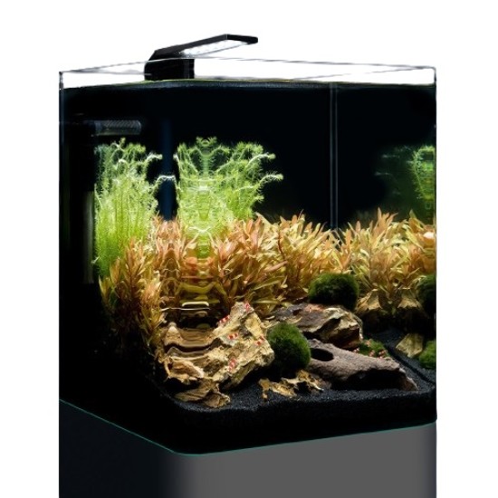 Аквариум Dennerle NANO Cube Basic 20л - Style LED  - 1