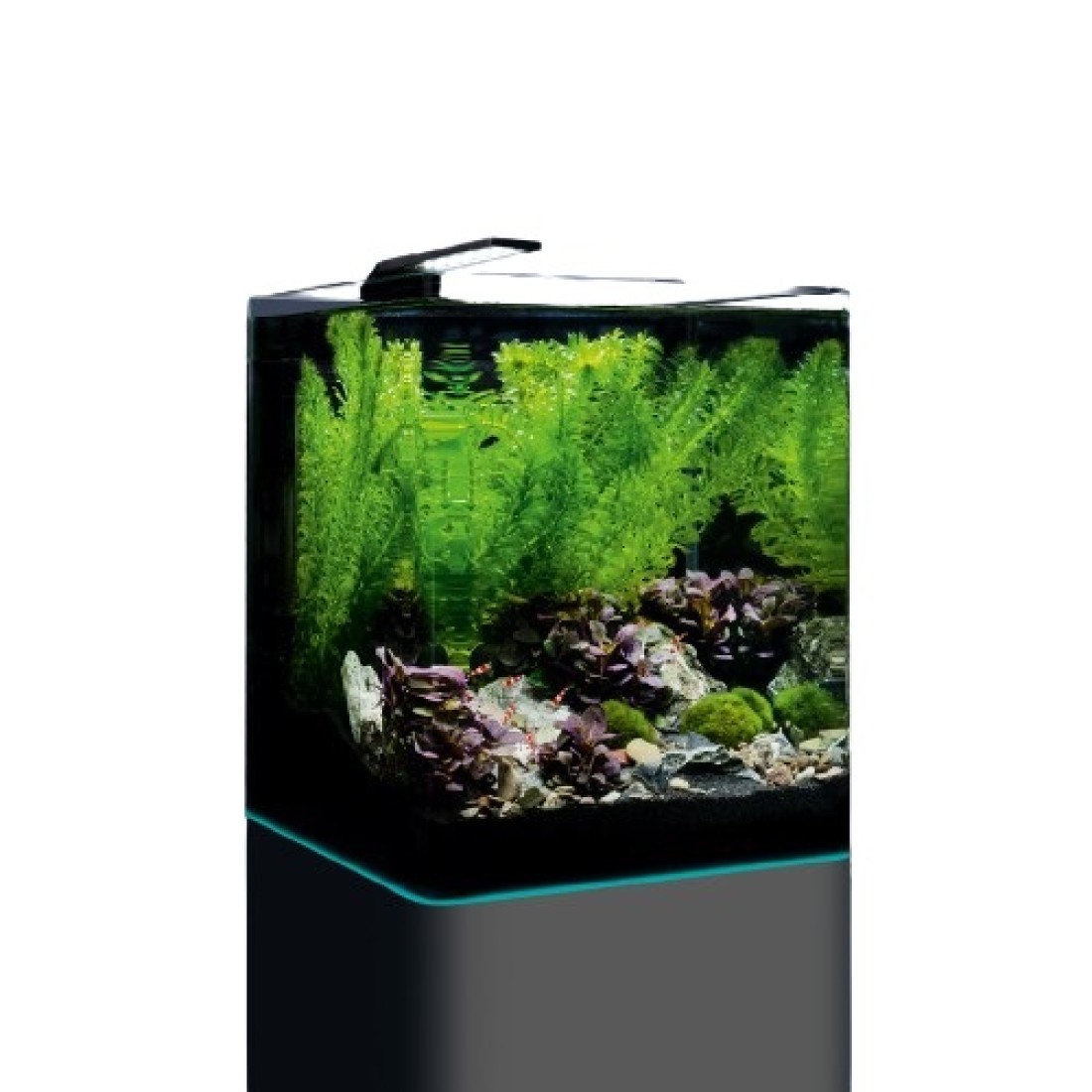 ᐉ Аквариум Nano Cube Complete Plus 60 L на ТОП ценa | AquariumBG