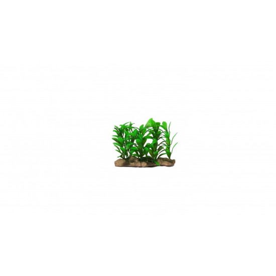 Plants with stones aquarium decoration - 3
