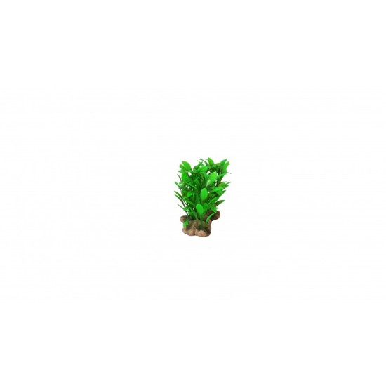 Plants with stones aquarium decoration - 2