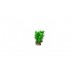 Plants with stones aquarium decoration - 2