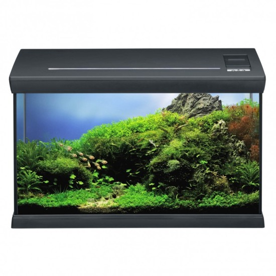 Aquarium EHEIM Aquaclass 60 - anthracite - 1