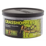 Canned Foods Exo Terra Grasshoppers