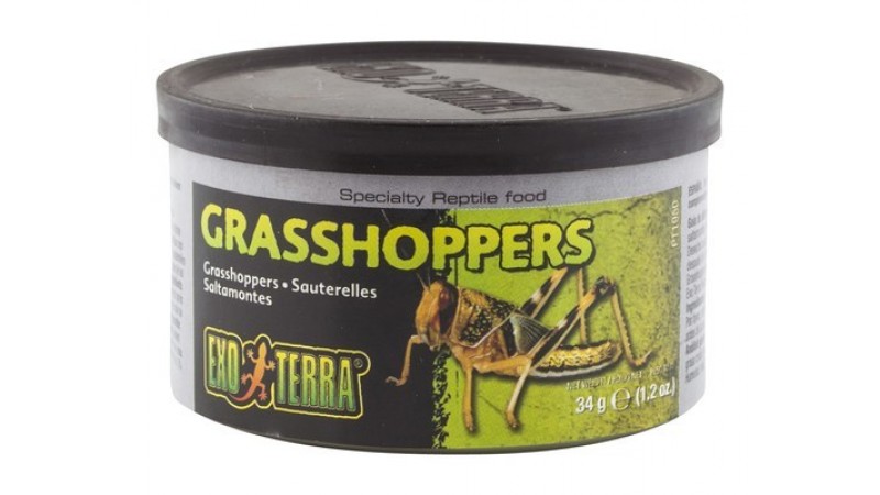 Canned Foods Exo Terra Grasshoppers