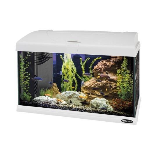 Aquarium Ferplast CAPRI 50 - white - 1