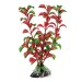 Plastic plant Ferplast Rotala 20 см