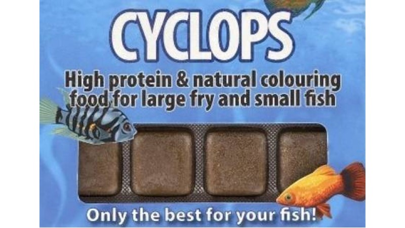 Cyclops 100 g / 24 blistere