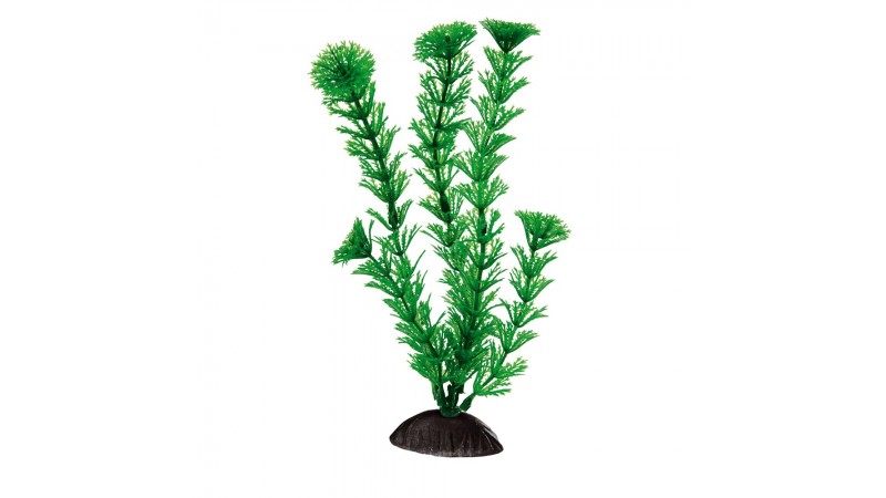 Plastic plant Ferplast Cabomba 20 см