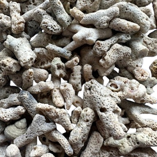 Coral sand 3-8cm 1kg - 1
