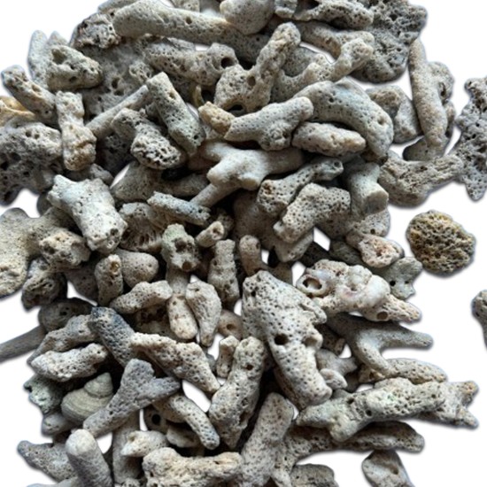 Coral sand 3-8cm 1kg - 3
