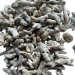 Coral sand 3-8cm 1kg - 3