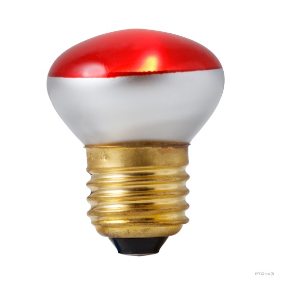 Heat Glo infrared Lamp - 3