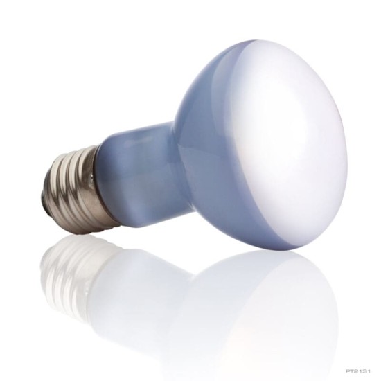 Exo Terra Day Glo Basking Spot Lamp - 2