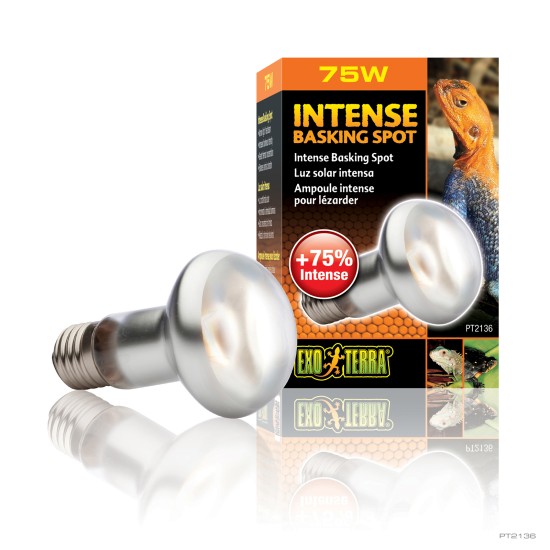 Exo Terra wide spectrum lamp for terrarium - 5