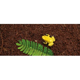 Субстрат Exo Terra Coconut Fiber