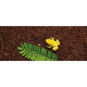 Субстрат Exo Terra Coconut Fiber